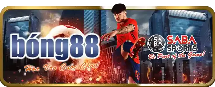 Lợi ích và bảo mật khi chọn nohu 88